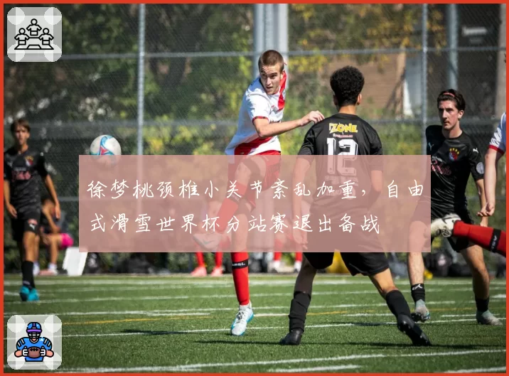 徐梦桃颈椎小关节紊乱加重,自由式滑雪世界杯分站赛退出备战