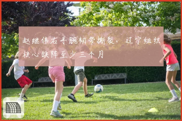 赵继伟右手腕韧带撕裂，辽宁组织核心缺阵至少三个月