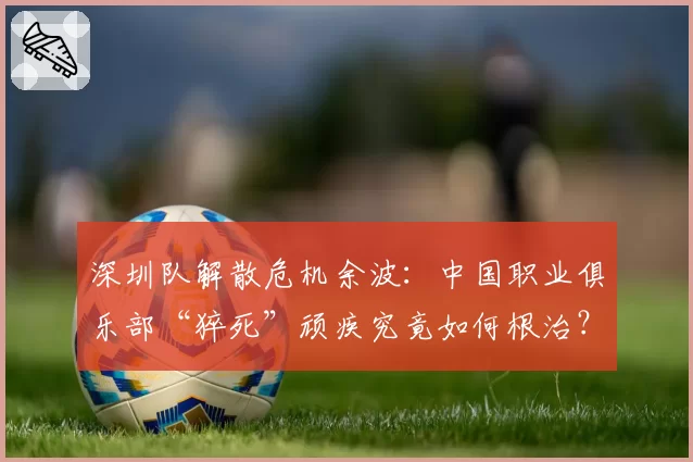深圳队解散危机余波：中国职业俱乐部“猝死”顽疾究竟如何根治？
